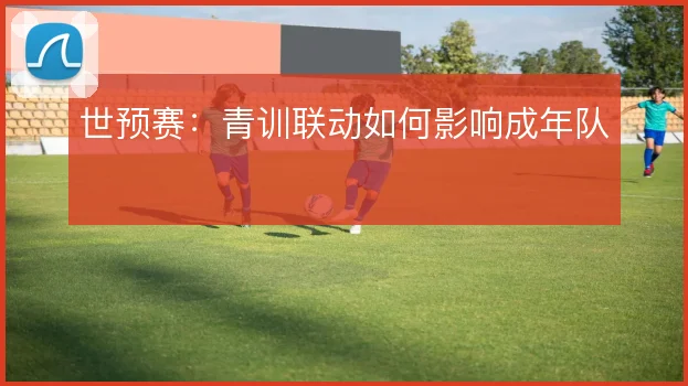 世预赛:青训联动如何影响成年队