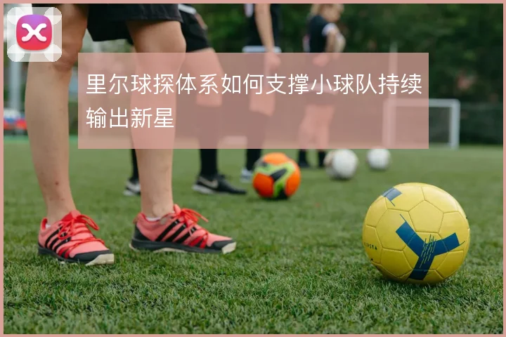 里尔球探体系如何支撑小球队持续输出新星